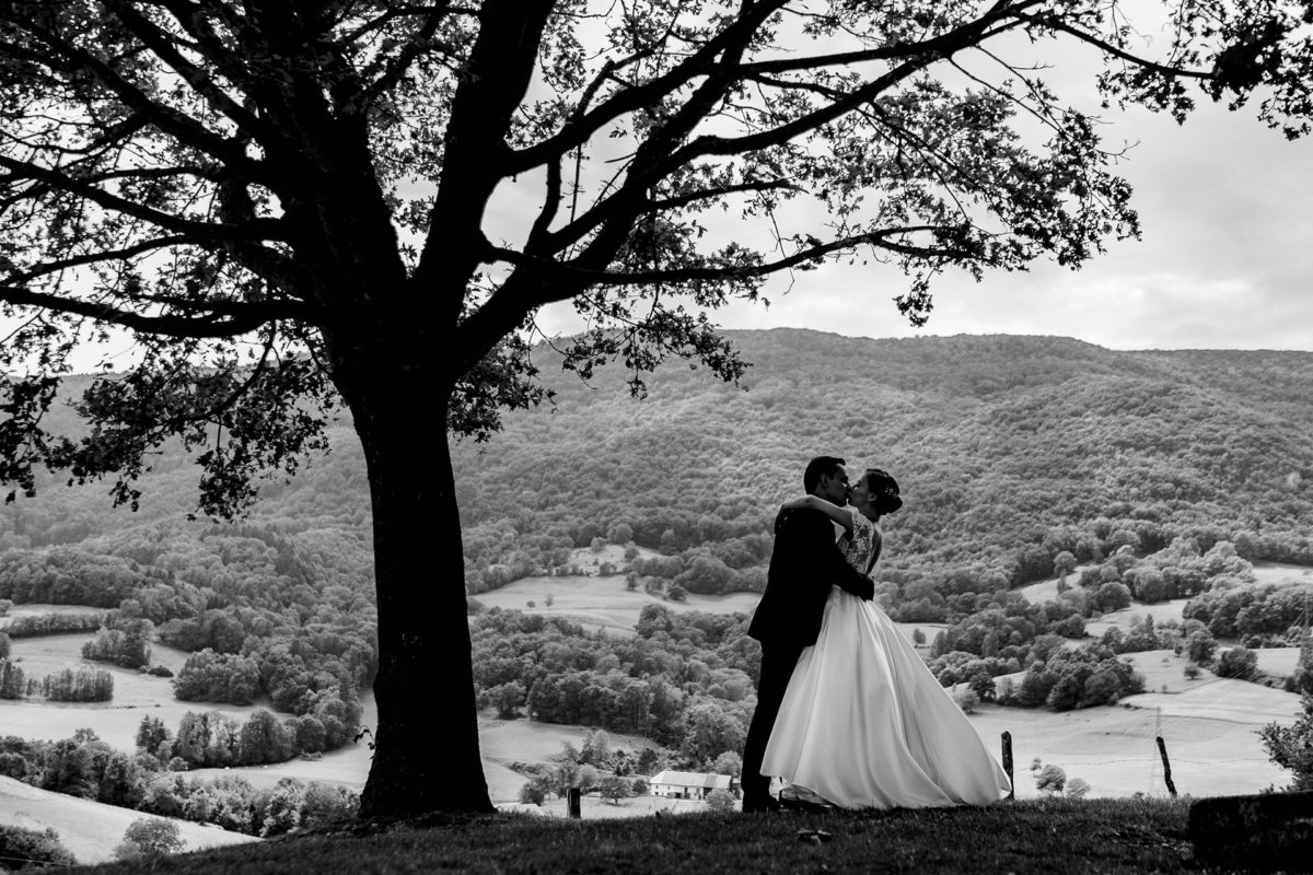 Bride and groom under the tree